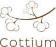 Cottium